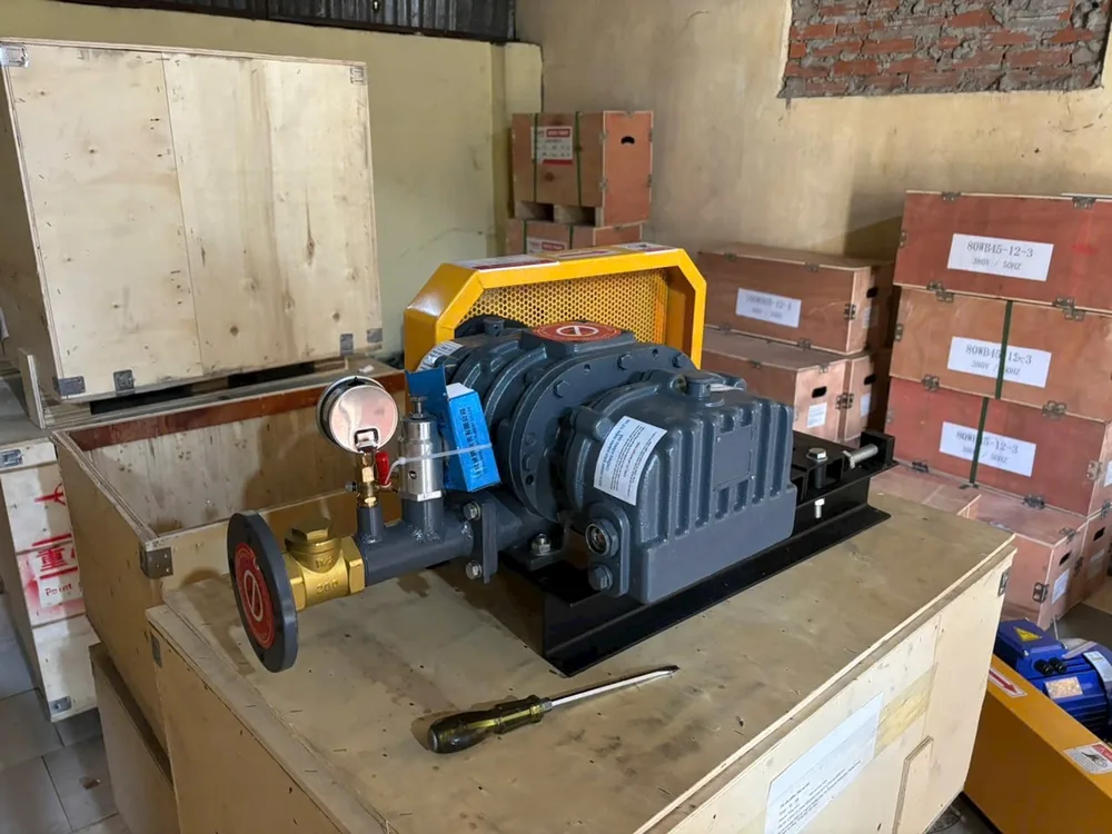 Máy Sục Khí Root Perotac RL50-4kW Chính Hãng Đài Loan 5 Máy thổi khí ROOT Perotac với đồng hồ áp suất và đường ống - Đài Loan