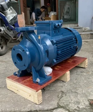 Bơm trục ngang Redpump CS32-250/5.5 5,5 kW 5 Bơm trục ngang dòng CM với đầu hút phía trước